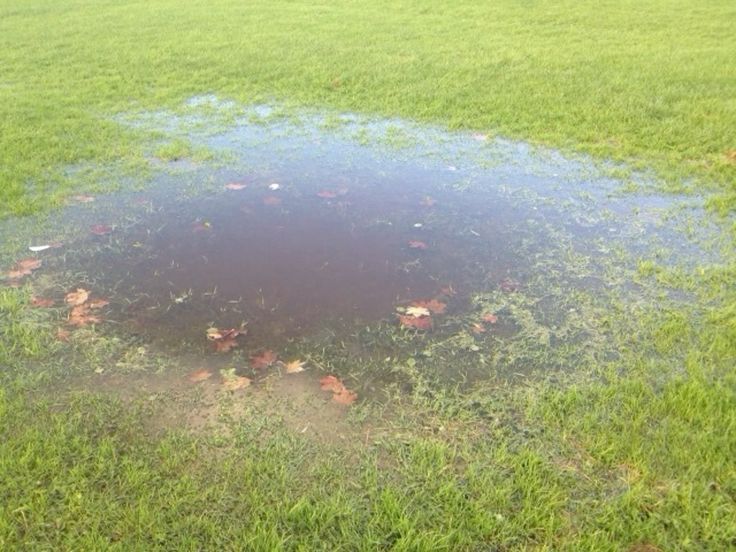 A round puddle on a lawn